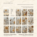 Afternoon Autumn Leaves