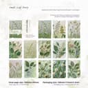 Small Leaf Story