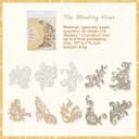 The Winding Vines