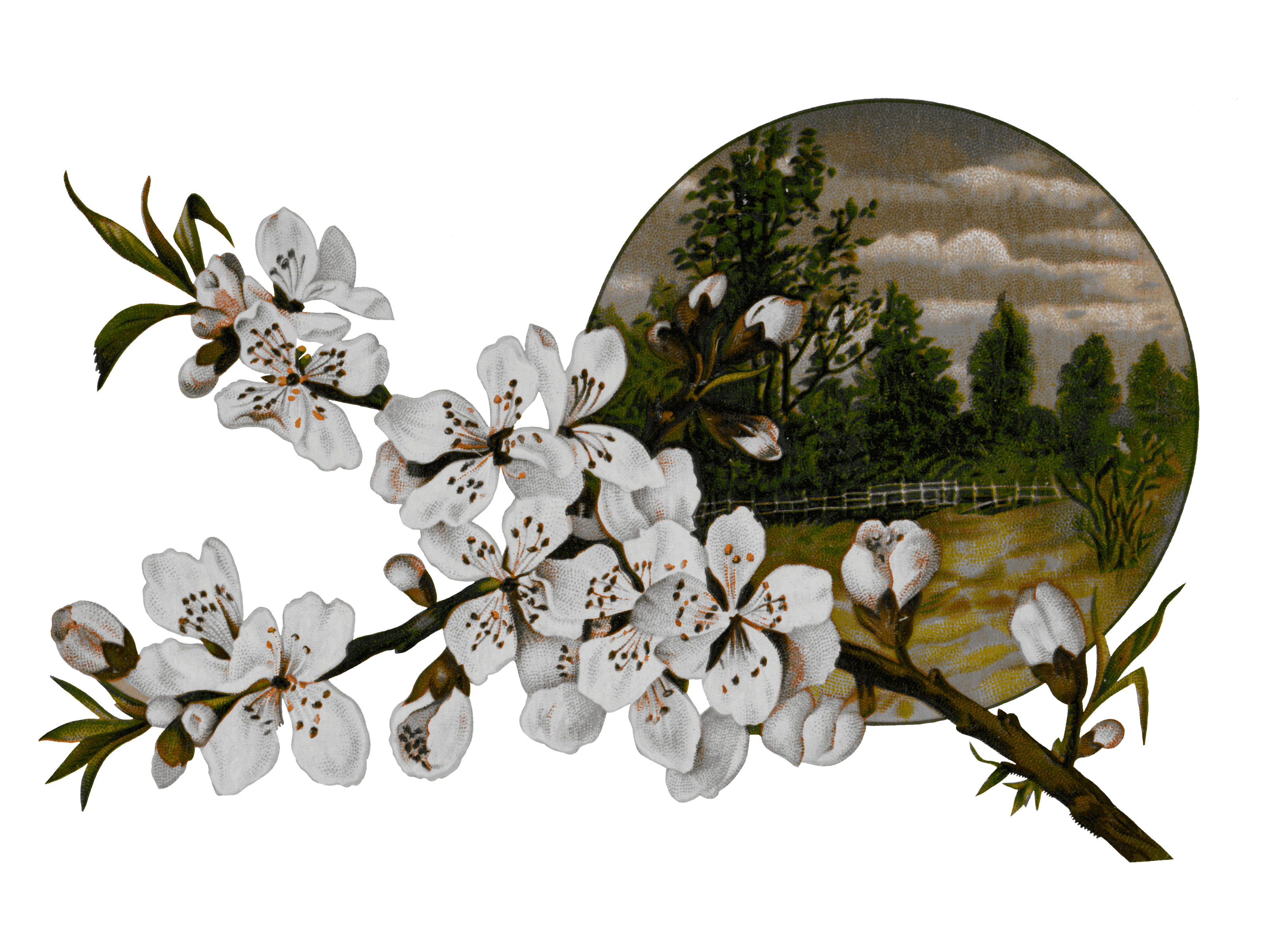 Decorative Flower Sticker