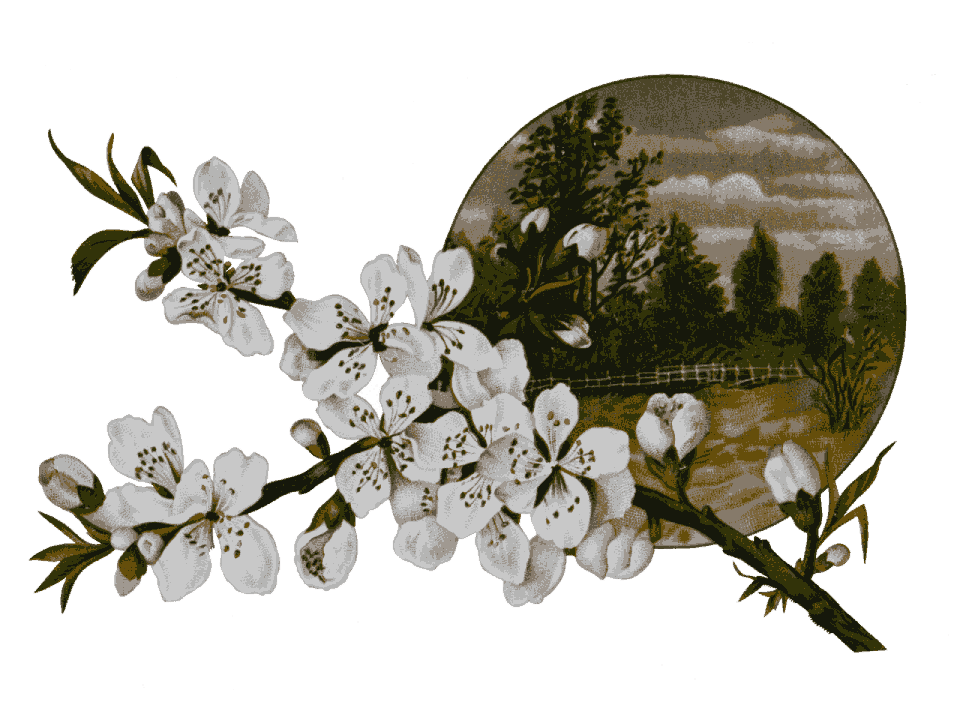 Decorative Flower Sticker